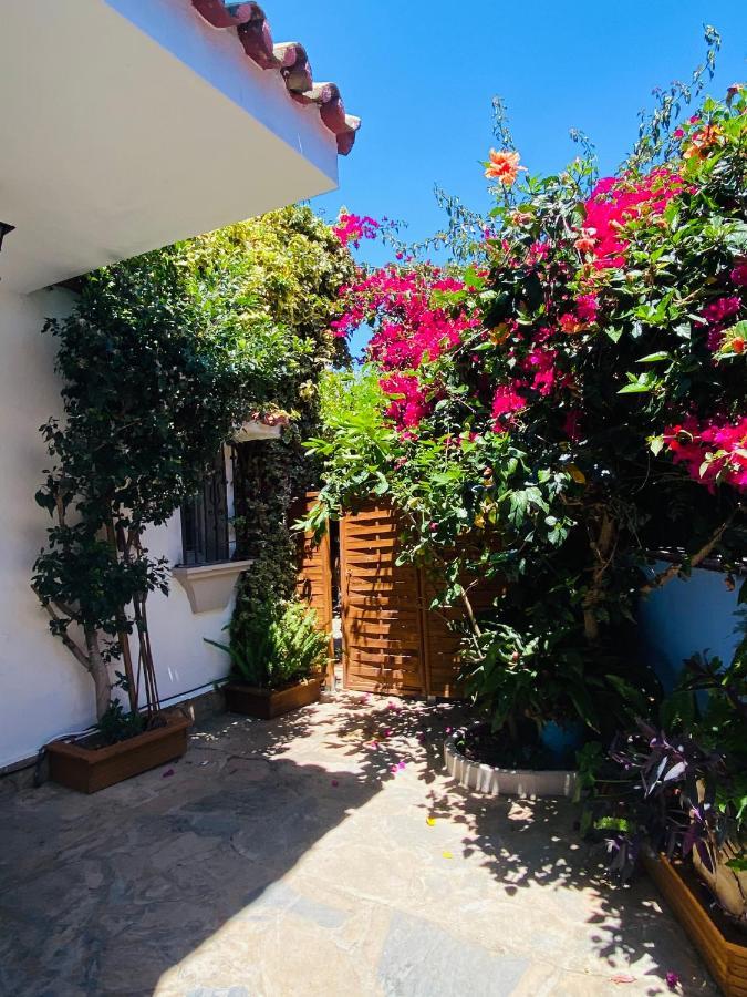 Bed & Breakfast Palma Marbella